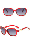 Behind Your Dream Sunglassses